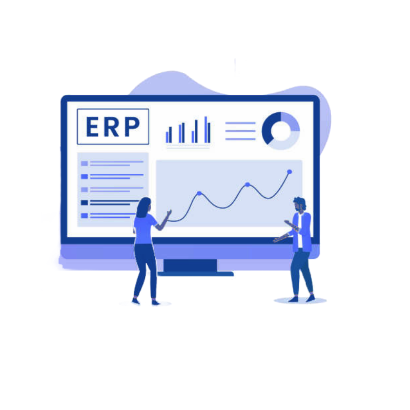 Custom ERP